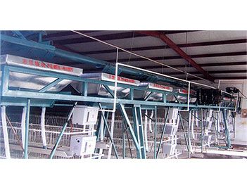 蛋、種雞自動給料機(jī)